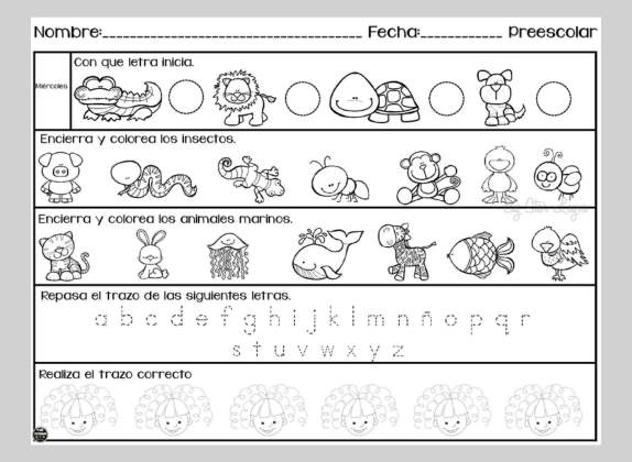 actividades para niños de tercero de preescolar