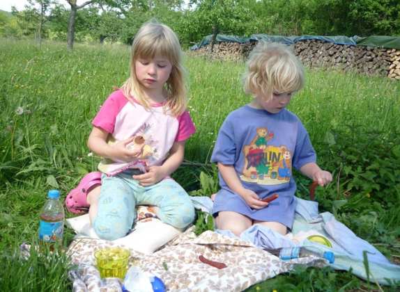 picnic para niños